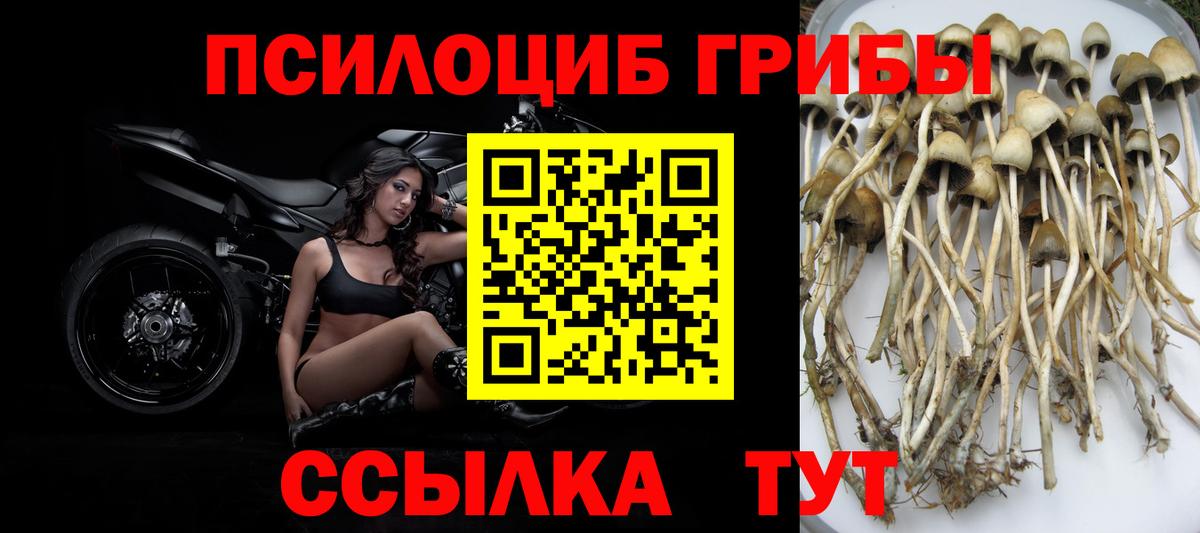 Псилоцибиновые грибы мицелий Всеволожск