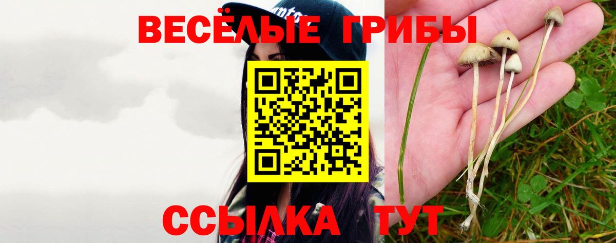 Псилоцибиновые грибы мухоморы  Вход с VPN  Всеволожск  Галлюциногенные грибы мухоморы 